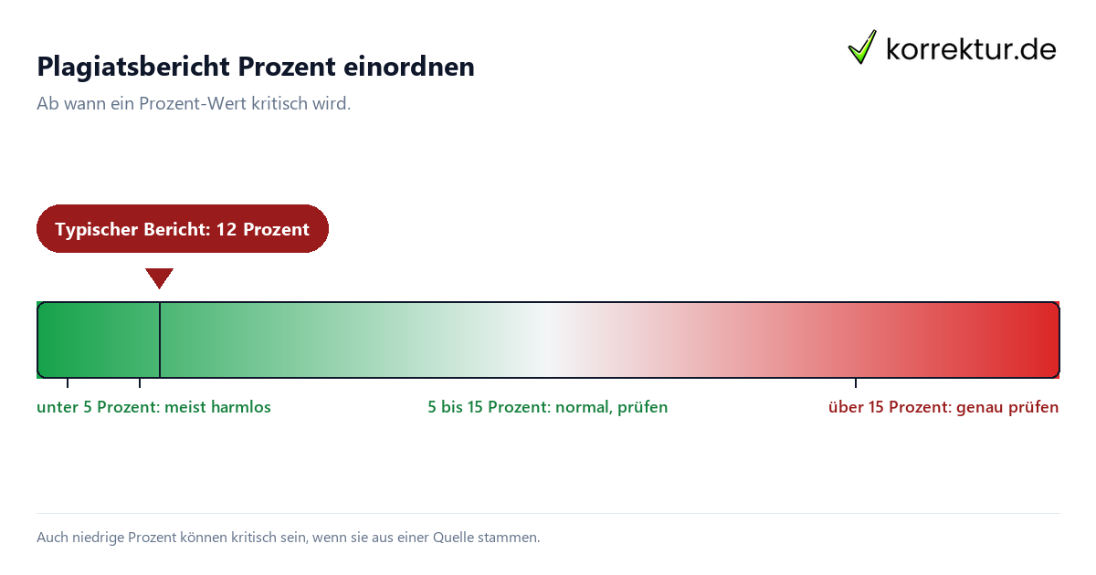 Plagiatsbericht Prozent