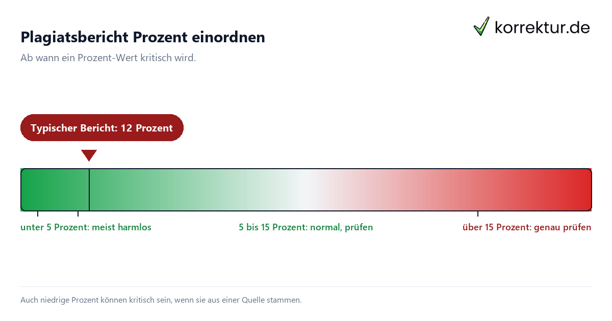 Plagiatsbericht Prozent Plagiatsbericht Prozent