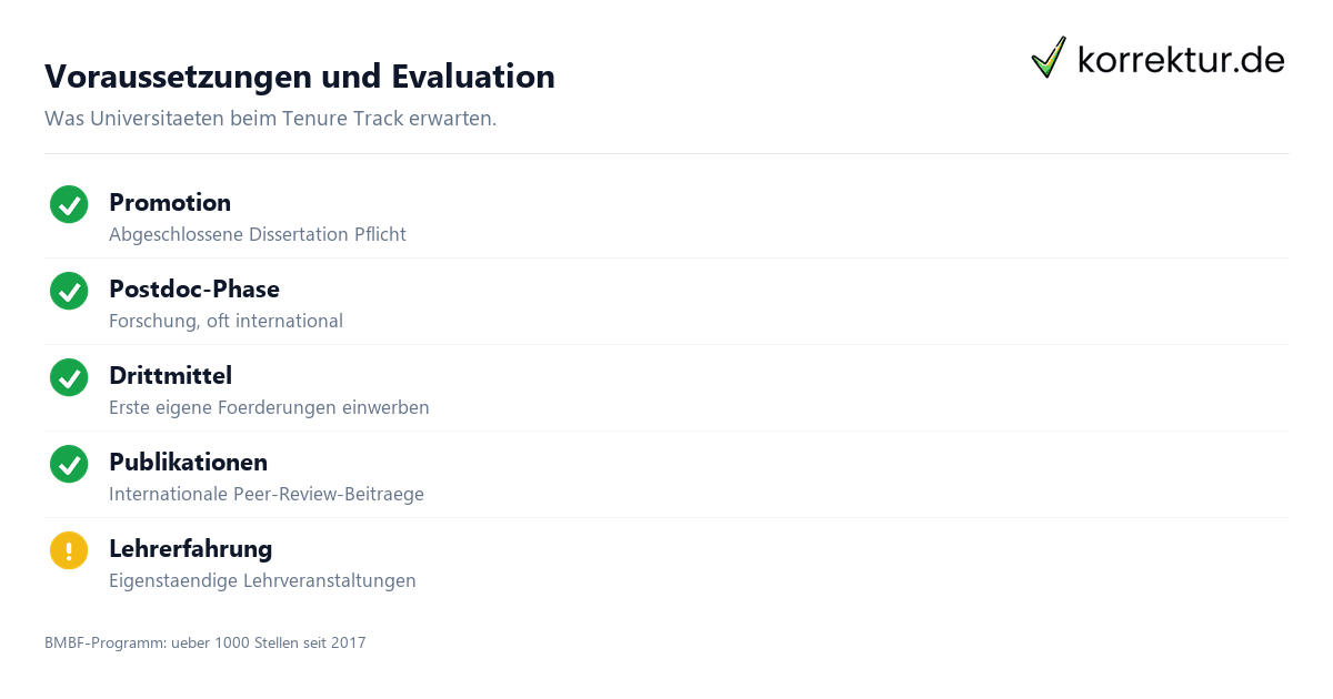 Schritt für Schritt Tenure Track in Deutschland: Schritte