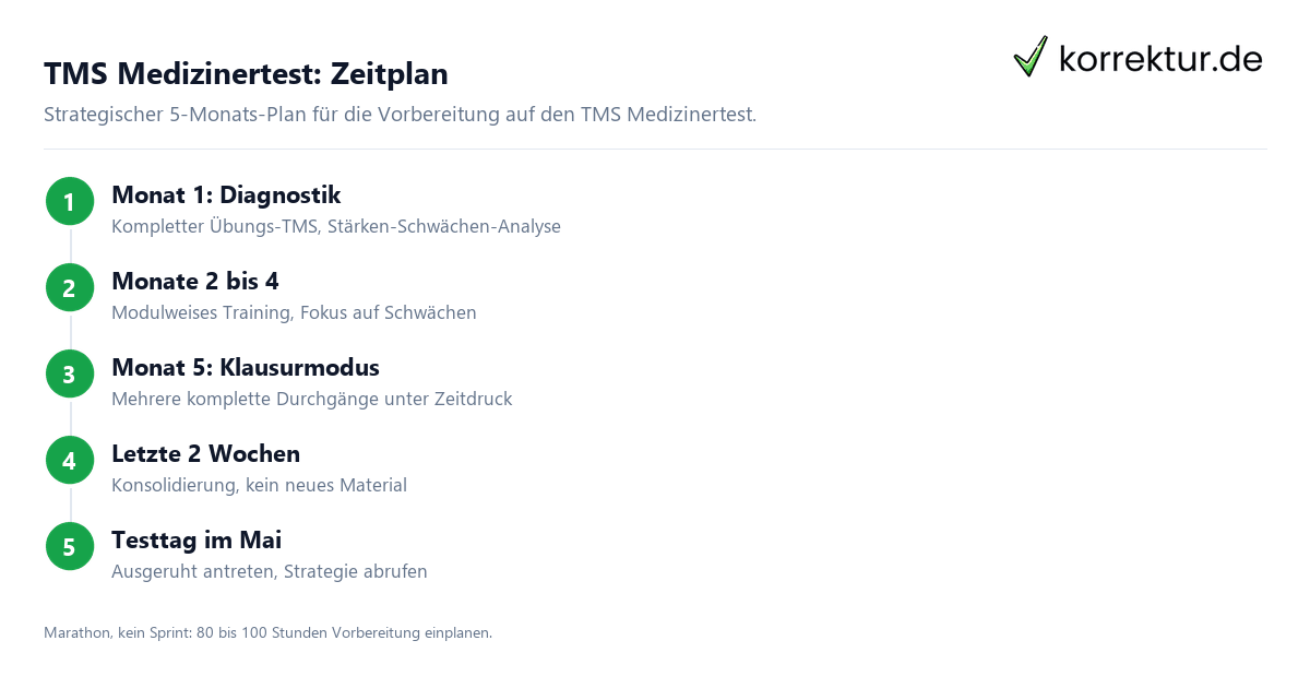 TMS Medizinertest: Zeitplan Zeitplan Vorbereitung TMS Medizinertest in fünf Phasen