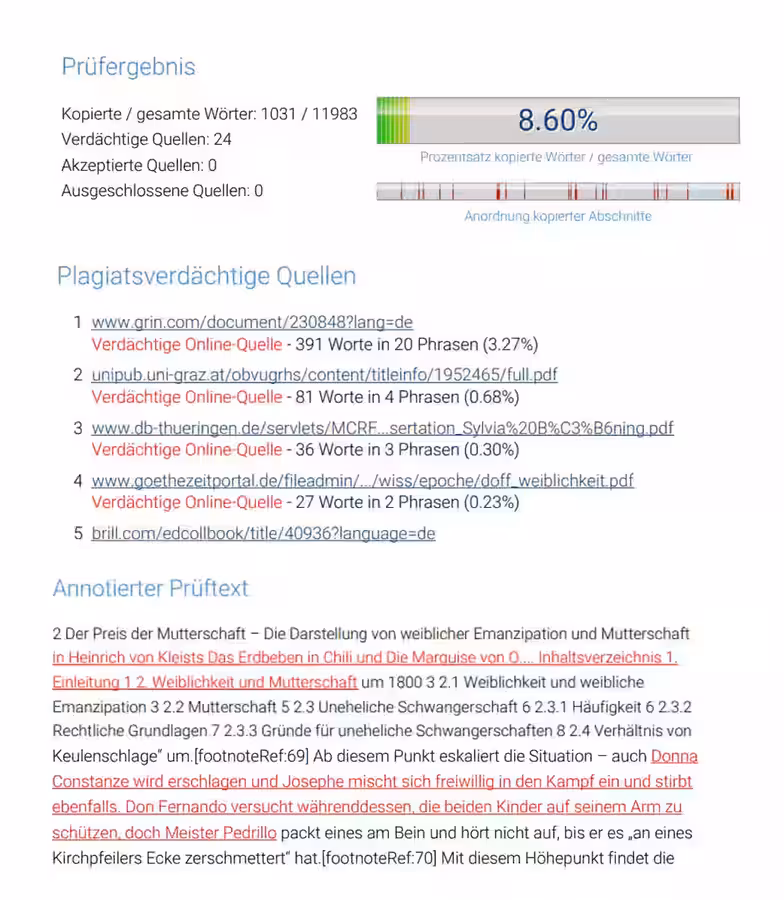 Plagiarismus Check Ergebnis – Beispielbericht von korrektur.de