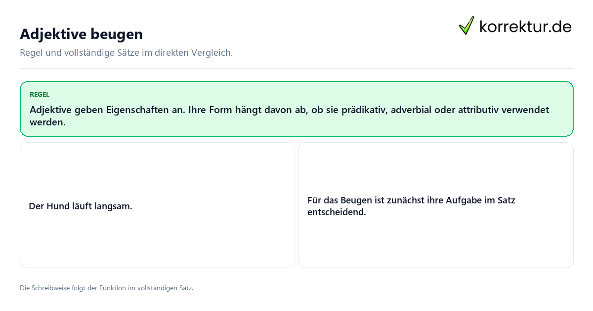 Konkrete Regel und vollständige Beispielsätze zu Adjektive beugen