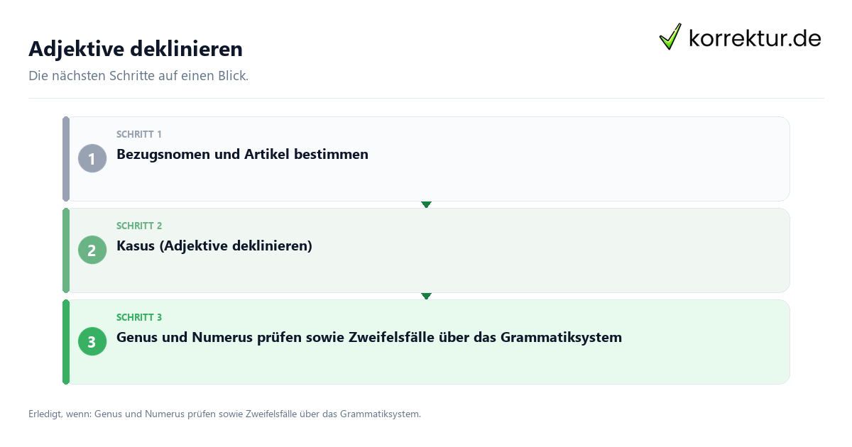 Adjektive deklinieren Adjektive deklinieren mit einem Ablauf aus Prüfung, Kontakt und Dokumentation