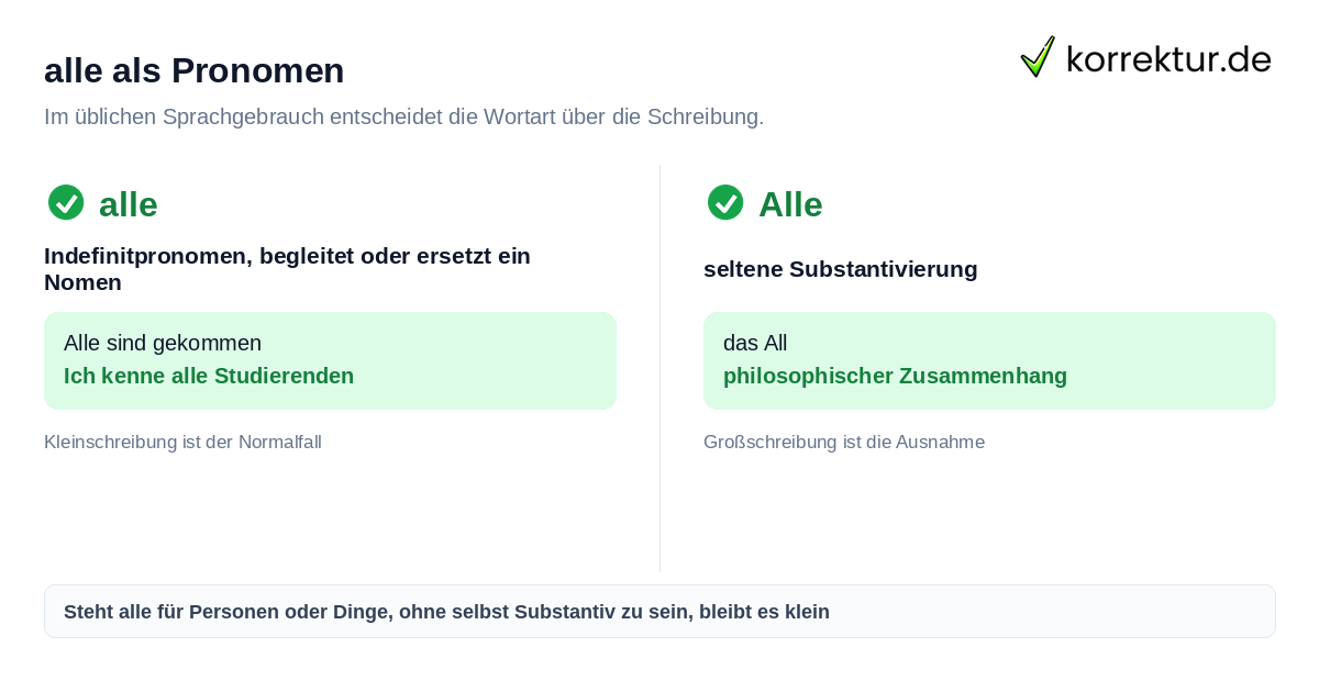 alle als Pronomen Alle groß oder klein schreiben als Pronomen im Alltagssatz