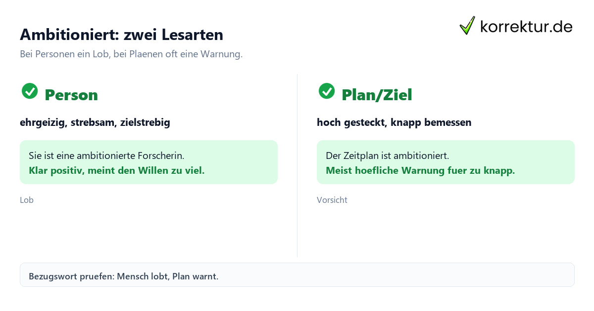 Ambitioniert: zwei Lesarten Ambitioniert Bedeutung: Person versus Plan im Vergleich