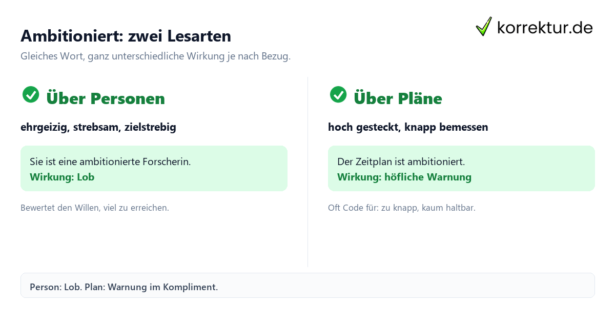 Ambitioniert: zwei Lesarten Ambitioniert Bedeutung: Person versus Plan im Vergleich
