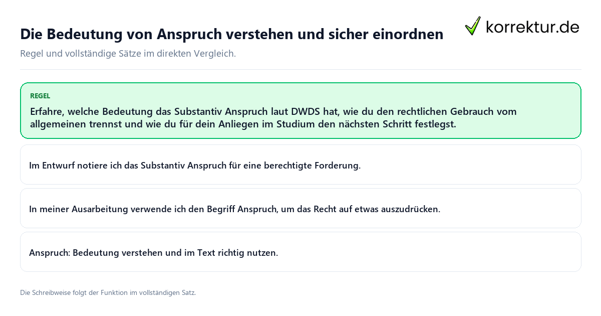 Konkrete Regel und vollständige Beispielsätze zu Die Bedeutung von Anspruch verstehen und sicher
