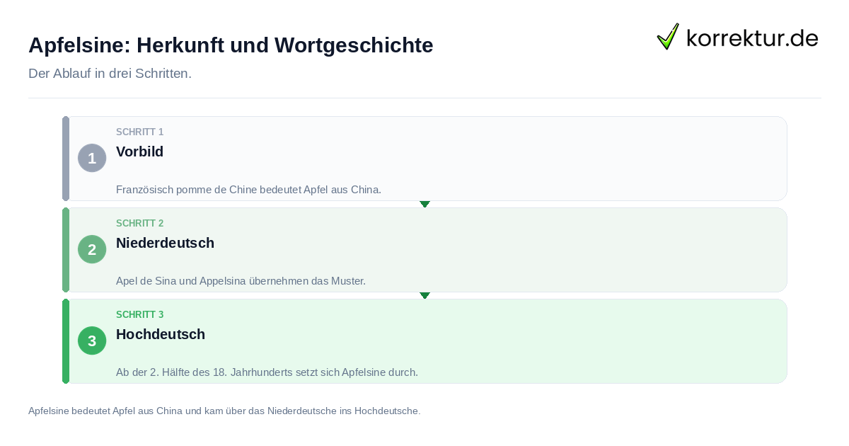 Apfelsine: Herkunft und Wortgeschichte: der Ablauf in drei Schritten