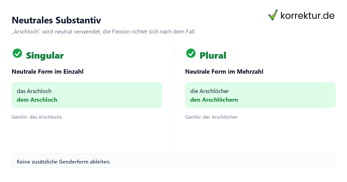 Neutrales Substantiv Arschloch richtig gendern und grammatisch verwenden: Singular und Plural