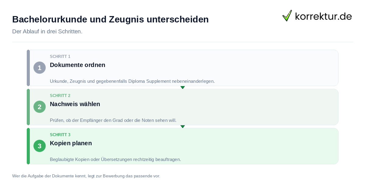 Bachelorurkunde und Zeugnis unterscheiden: der Ablauf in drei Schritten