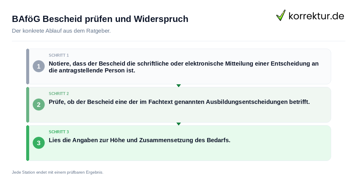 BAföG Bescheid prüfen und Widerspruch Konkrete Schritte zu BAföG Bescheid prüfen und Widerspruch