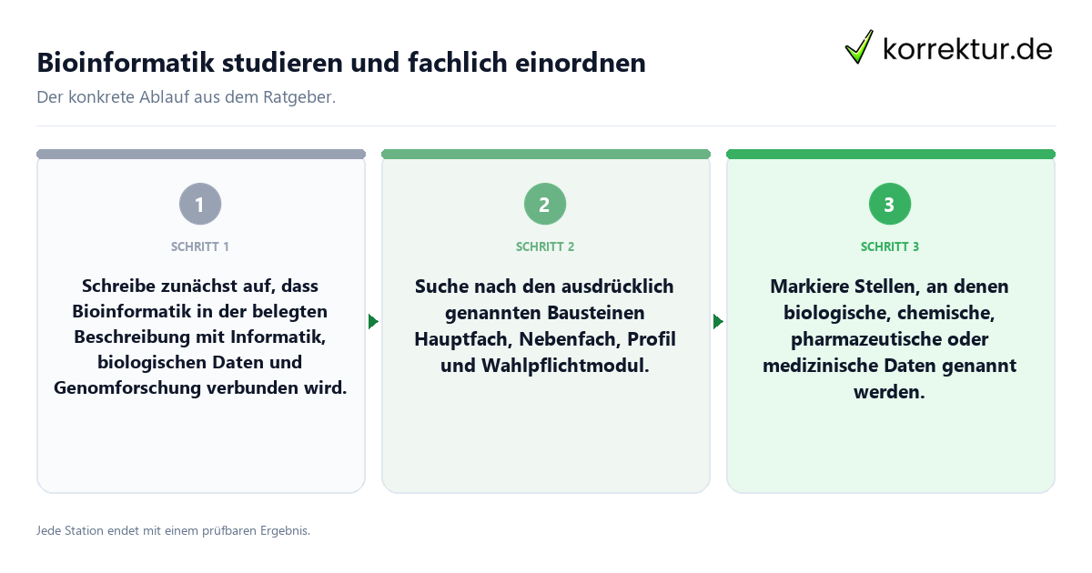Konkrete Schritte zu Bioinformatik studieren und fachlich einordnen