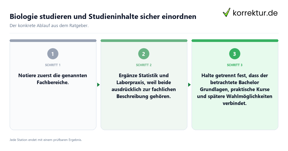 Konkrete Schritte zu Biologie studieren und Studieninhalte sicher einordnen