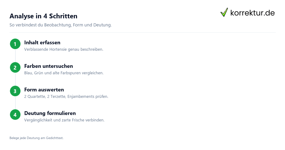 Schritt für Schritt Blaue Hortensie: Schritte