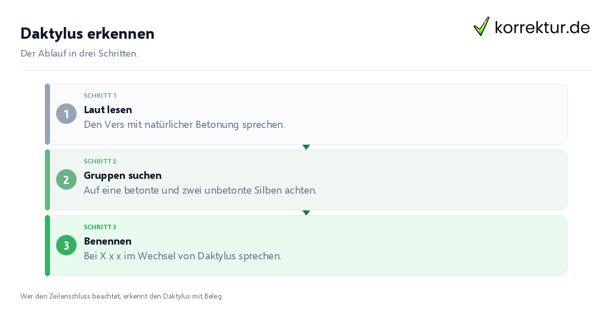 Daktylus erkennen Daktylus erkennen: der Ablauf in drei Schritten
