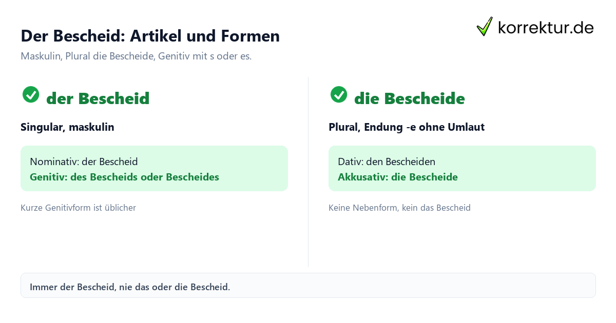 Bescheid Artikel