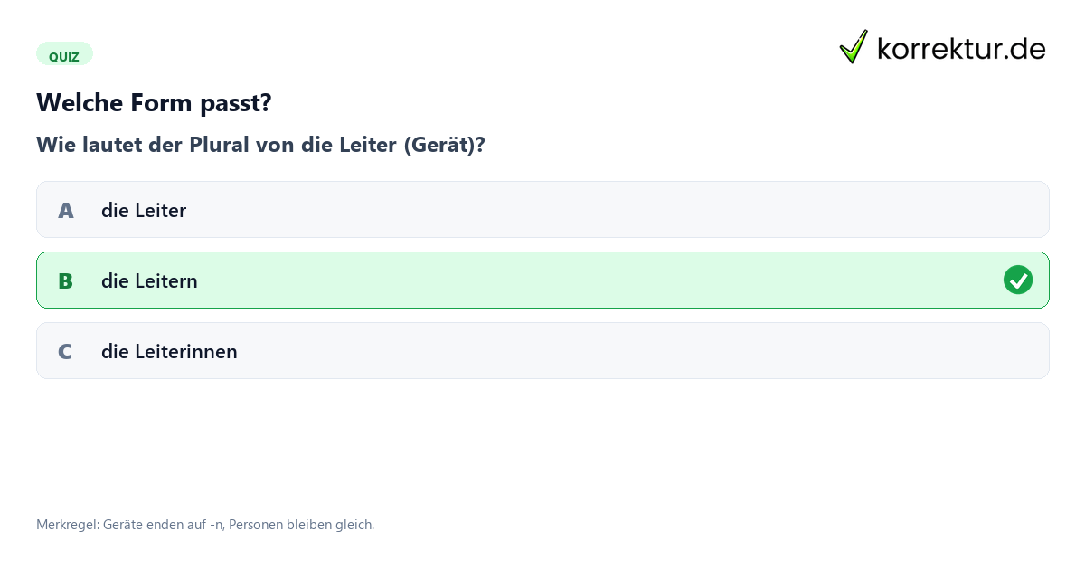 Leiter Artikel