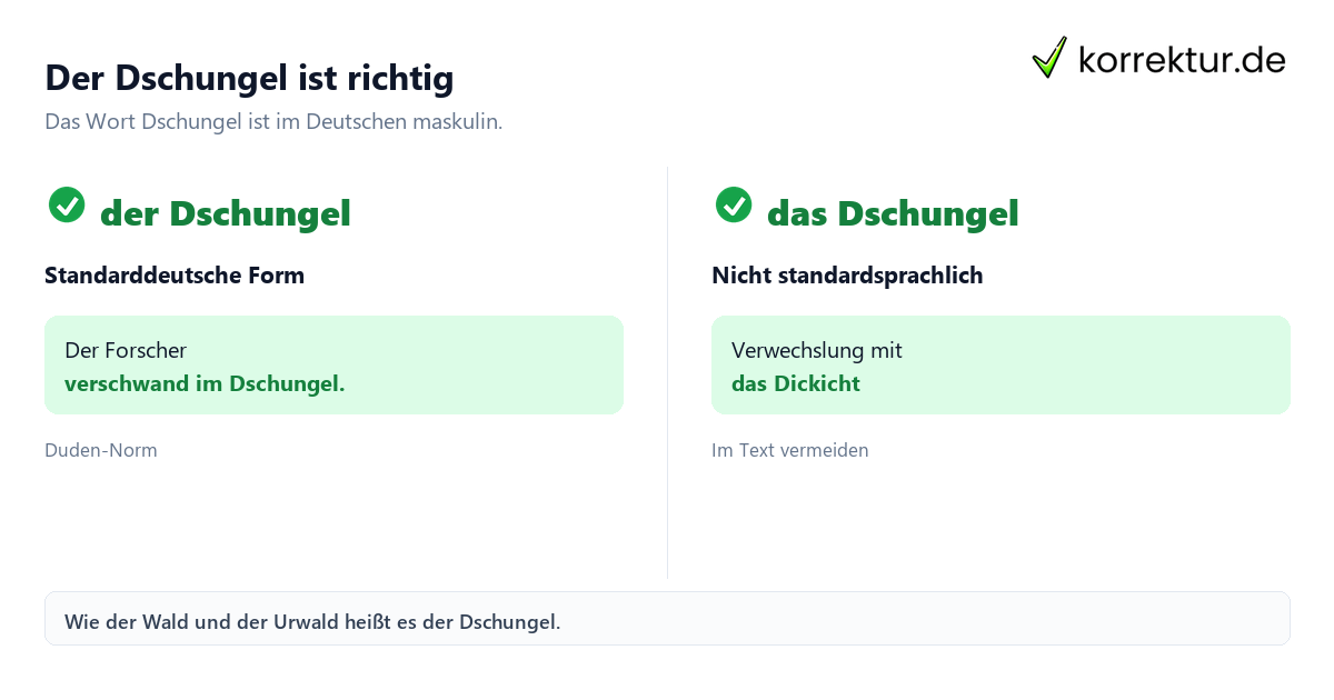 Der oder das Dschungel: Richtiger Artikel im Vergleich