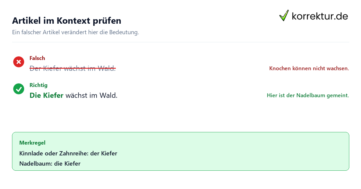 der oder die Kiefer