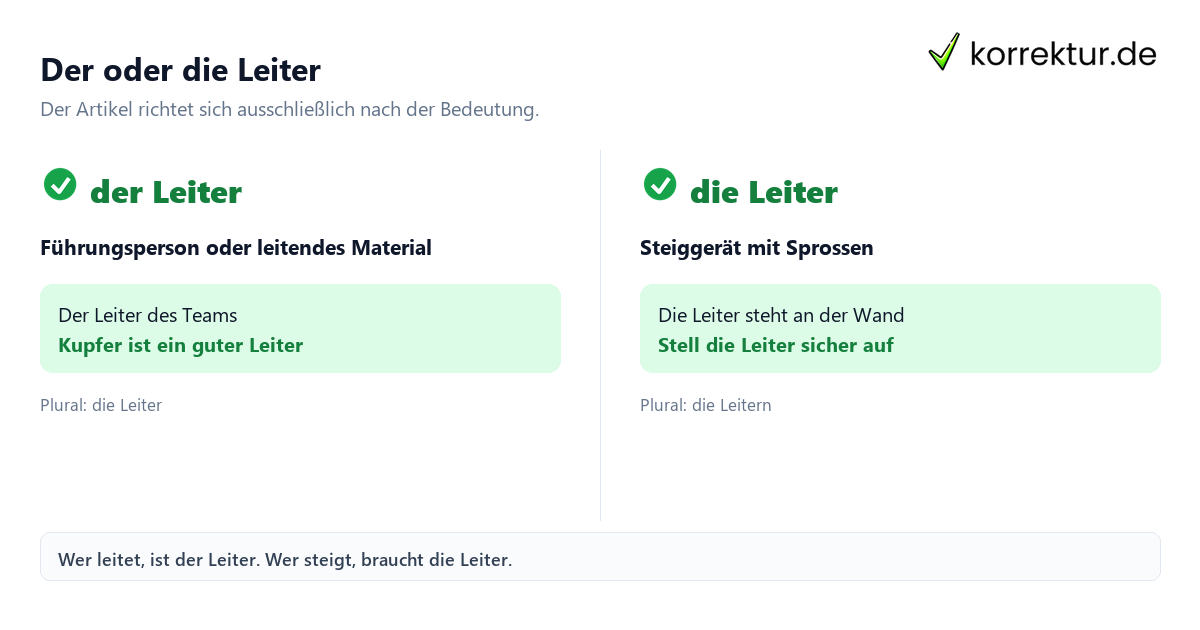 der oder die Leiter, Vergleich der Bedeutungen