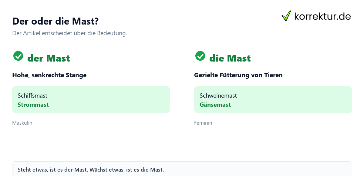 Der oder die Mast: Bedeutungen im Vergleich