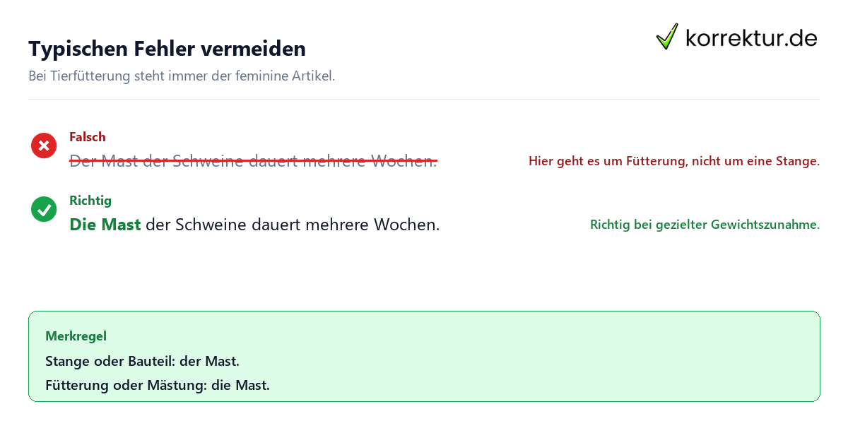 Der oder die Mast richtig verwenden