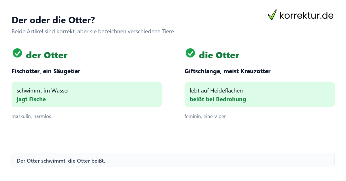 Der oder die Otter: Vergleich von Fischotter und Kreuzotter