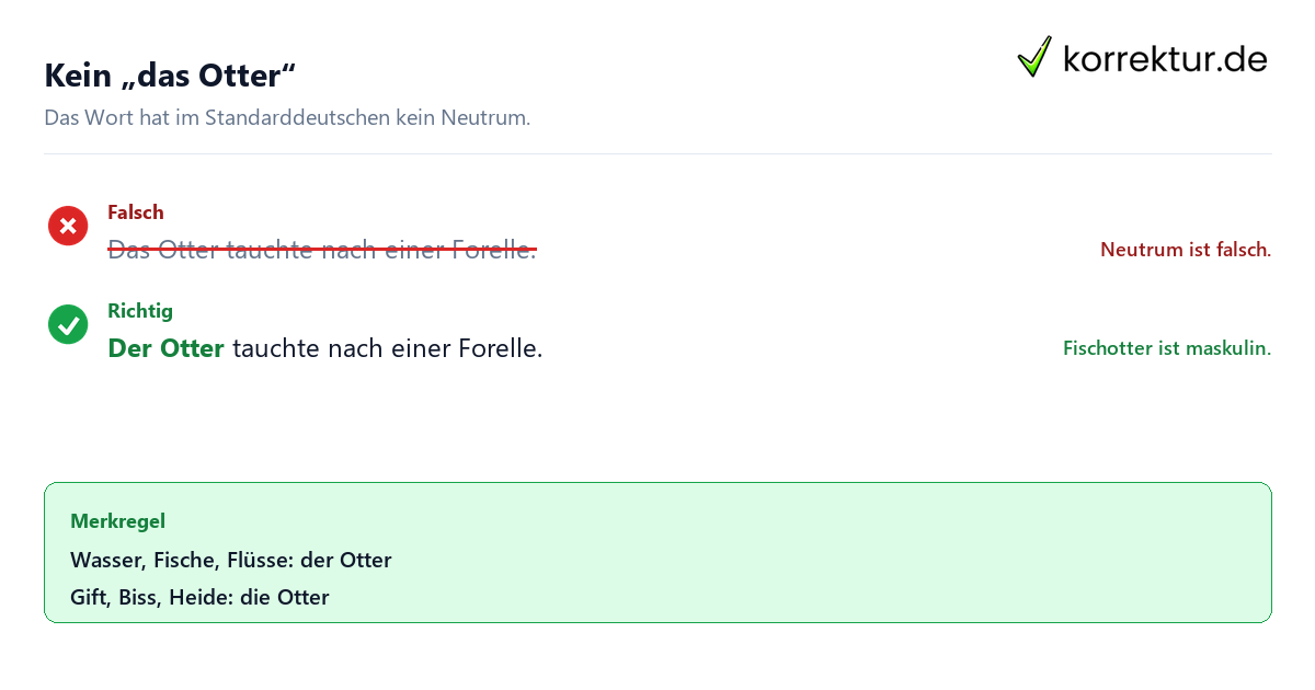Der oder die Otter richtig verwenden: kein das Otter