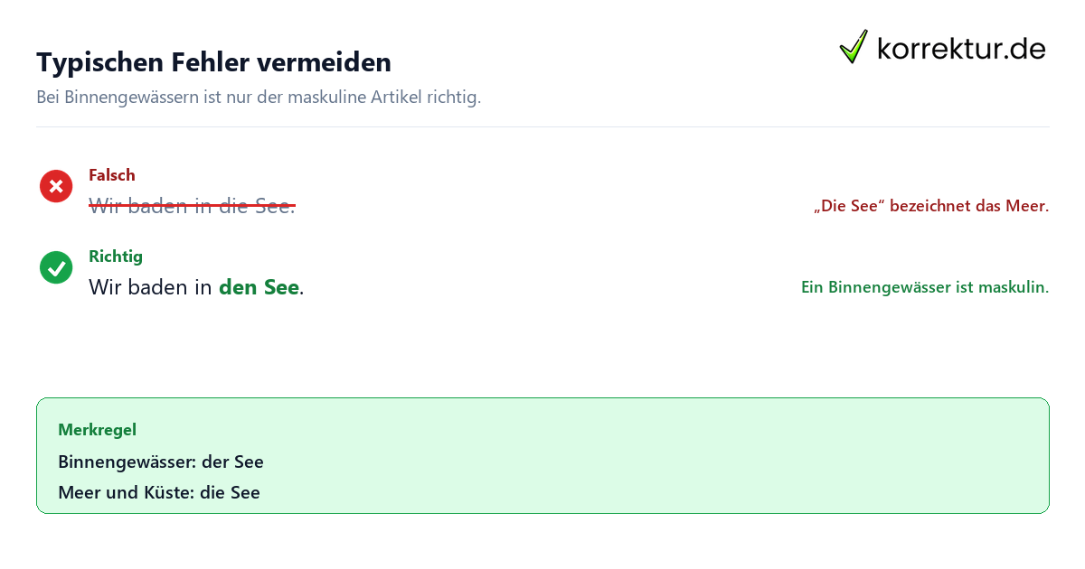 der oder die See richtig verwenden: Satzkorrektur
