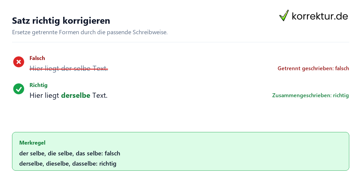 Satz richtig korrigieren Derselbe, dieselbe oder dasselbe richtig schreiben: Satzkorrektur