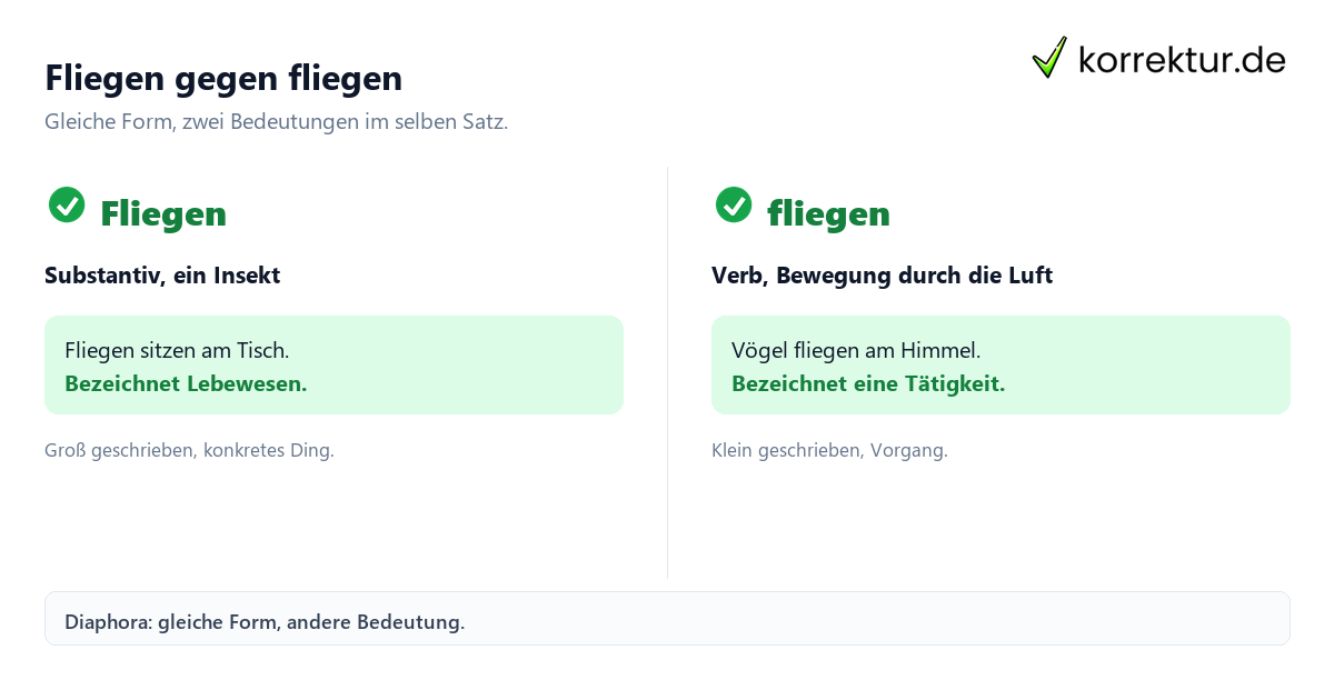 Fliegen gegen fliegen Diaphora einfach veranschaulicht: Fliegen als Substantiv und Verb