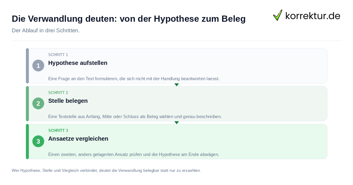 Die Verwandlung deuten: von der Hypothese zum Beleg Die Verwandlung deuten: von der Hypothese zum Beleg: der Ablauf in drei Schritten