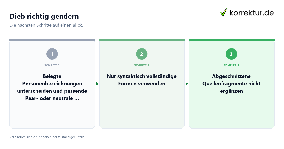 Dieb richtig gendern mit einem Ablauf aus Prüfung, Kontakt und Dokumentation
