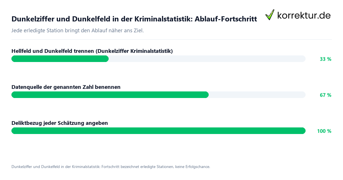 Dunkelziffer und Dunkelfeld in der Kriminalstatistik: Ablauf-Fortschritt Fortschrittsbalken für die einzelnen Ablaufstationen zu Dunkelziffer und Dunkelfeld
