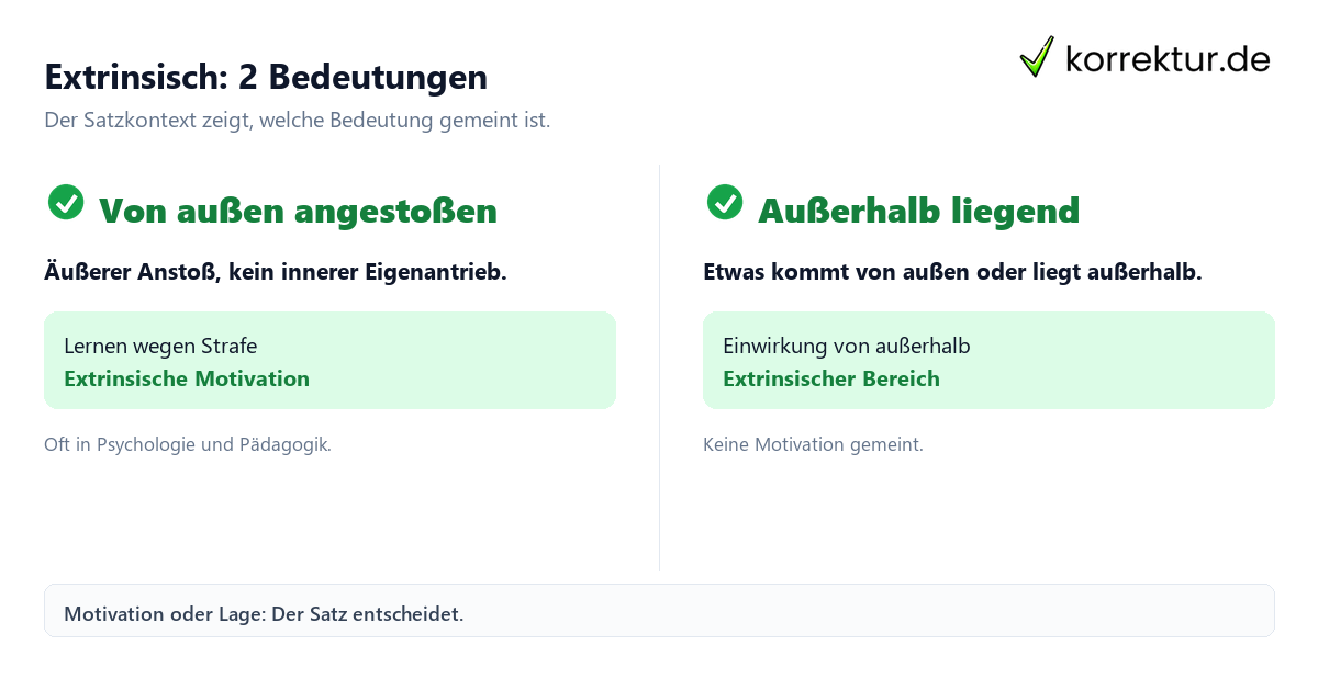 Extrinsisch: 2 Bedeutungen Was bedeutet „extrinsisch“? Die zwei Bedeutungen im Vergleich