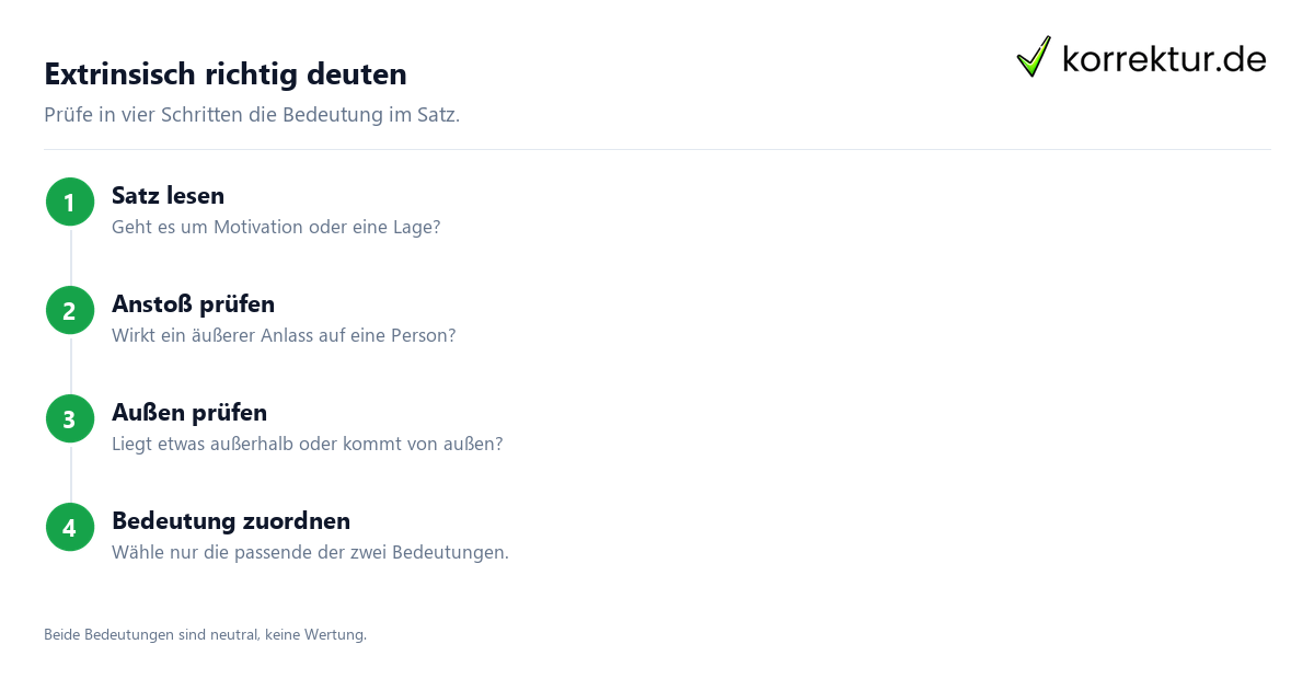 Extrinsisch richtig deuten Was bedeutet „extrinsisch“? Bedeutung im Satzkontext prüfen