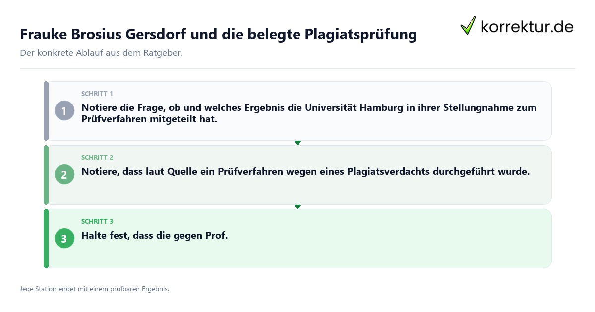 Konkrete Schritte zu Frauke Brosius Gersdorf und die belegte Plagiatsprüfung
