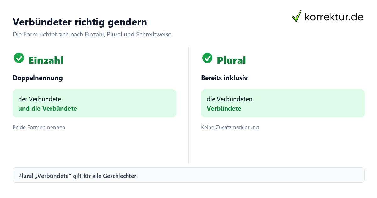 Gendern Verbündeter: korrekte Formen im Vergleich