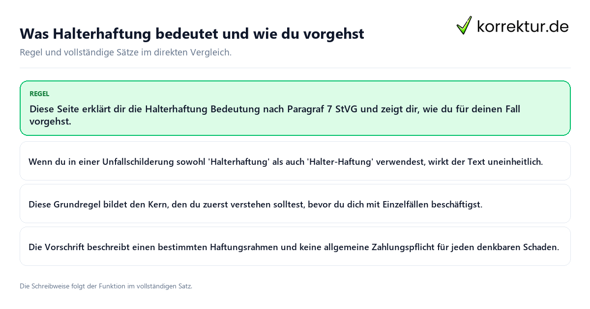 Konkrete Regel und vollständige Beispielsätze zu Was Halterhaftung bedeutet und wie du vorgehst