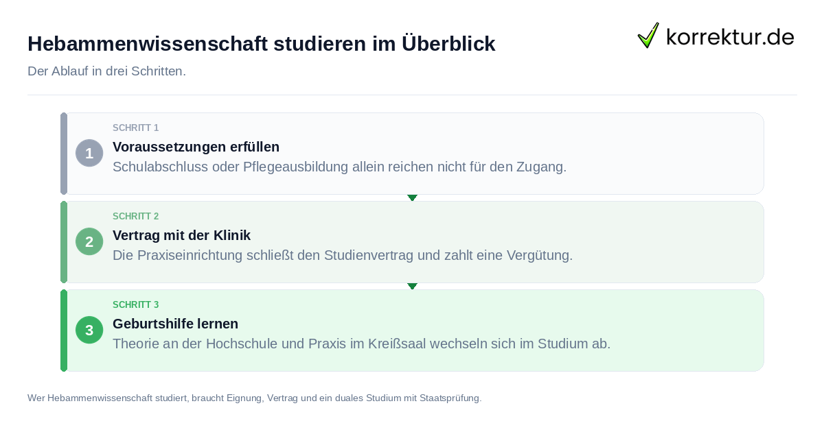 Hebammenwissenschaft studieren im Überblick: der Ablauf in drei Schritten