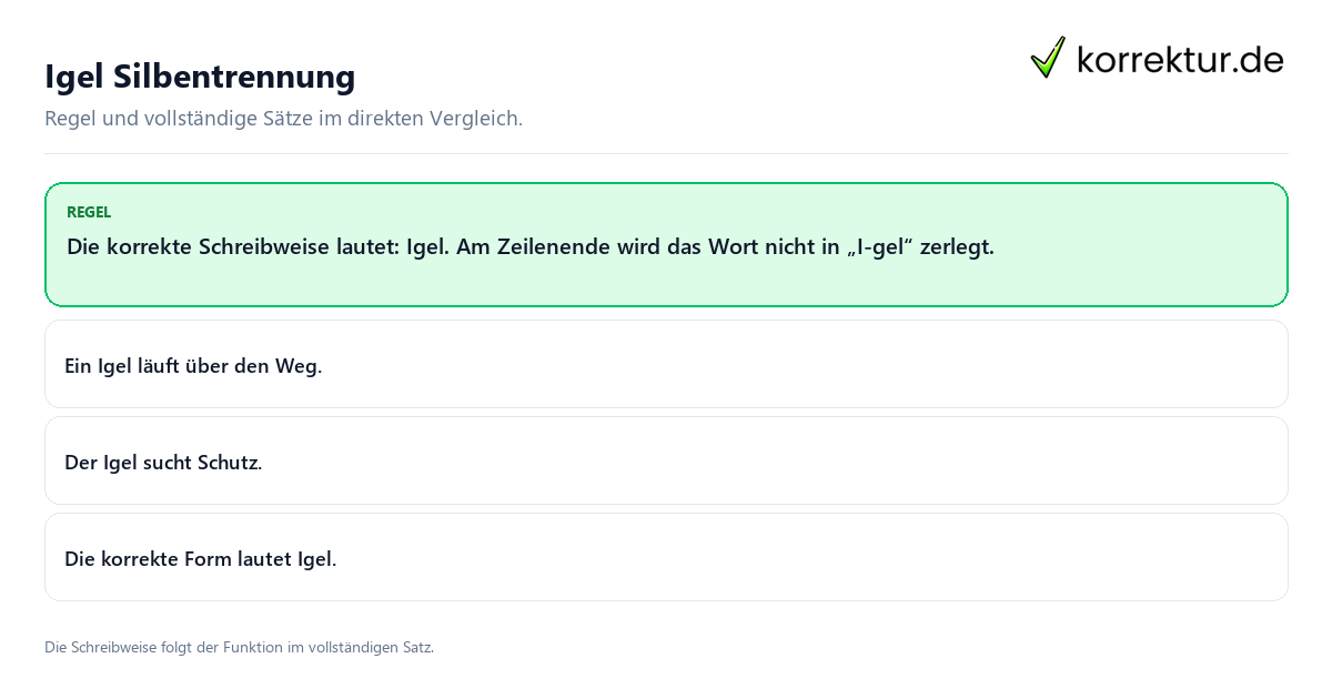 Konkrete Regel und vollständige Beispielsätze zu Igel Silbentrennung