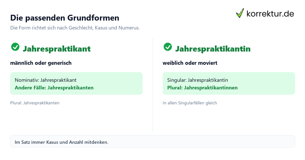 Die passenden Grundformen Jahrespraktikant gendergerecht und passend formulieren: Formen im Vergleich