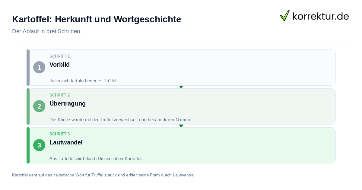 Kartoffel: Herkunft und Wortgeschichte: der Ablauf in drei Schritten
