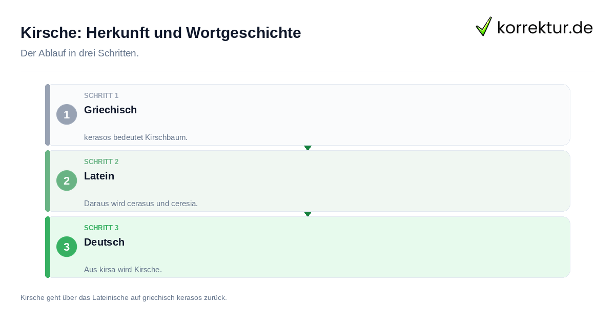 Kirsche: Herkunft und Wortgeschichte Kirsche: Herkunft und Wortgeschichte: der Ablauf in drei Schritten