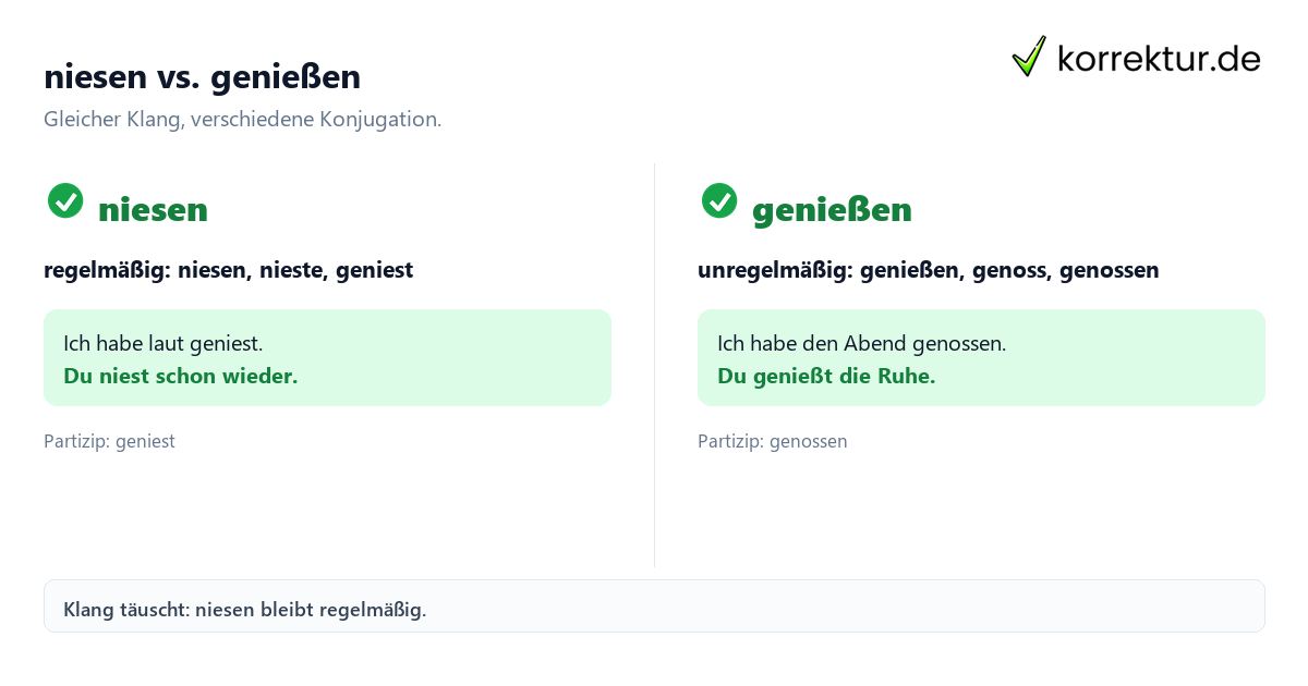 Konjugation niesen