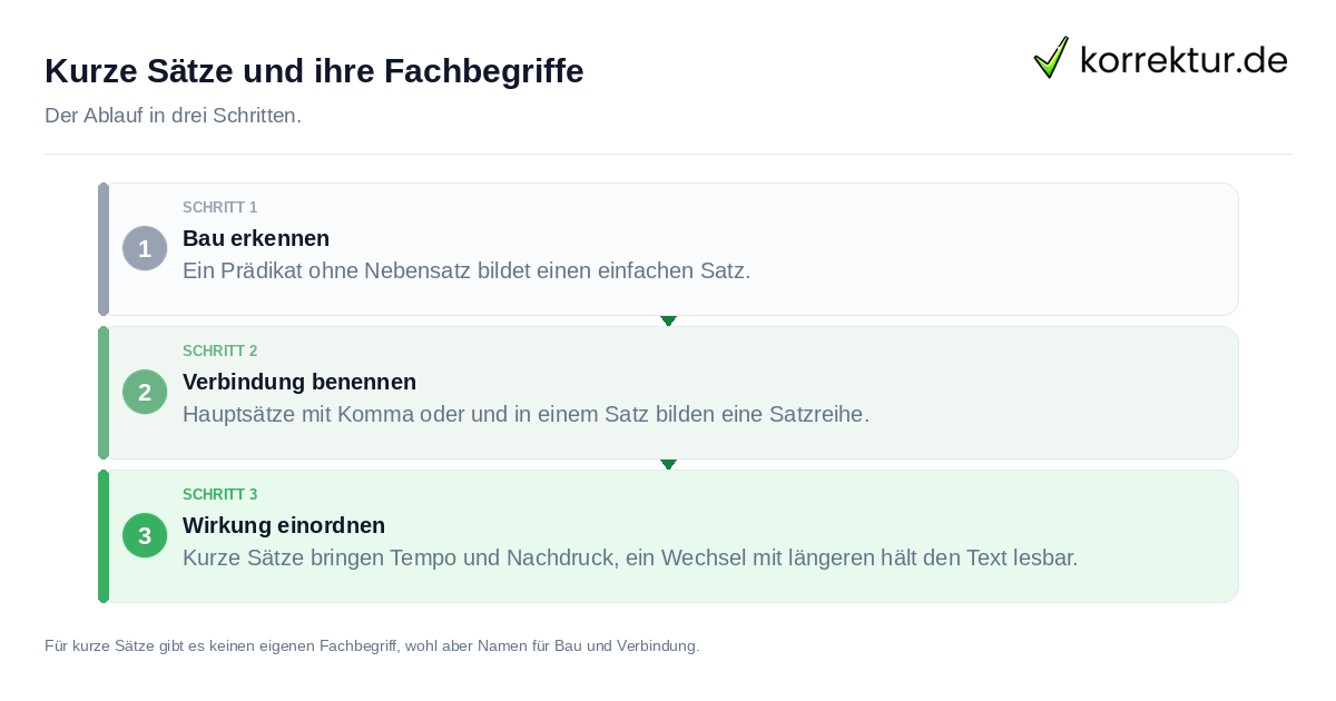 Kurze Sätze und ihre Fachbegriffe Kurze Sätze und ihre Fachbegriffe: der Ablauf in drei Schritten