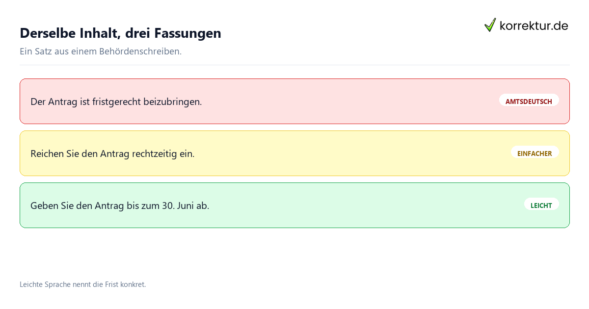 Leichte Sprache: Fassungen desselben Satzes
