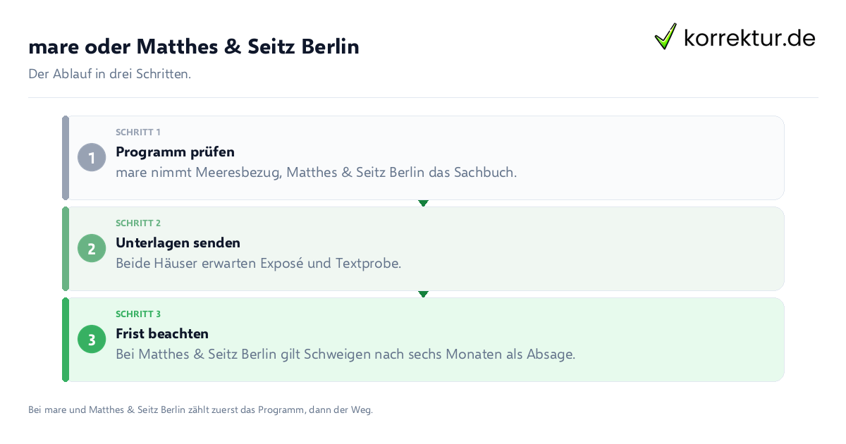 mare oder Matthes & Seitz Berlin: der Ablauf in drei Schritten