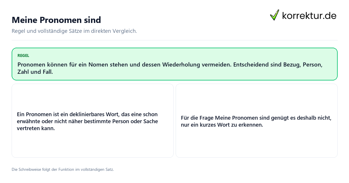Konkrete Regel und vollständige Beispielsätze zu Meine Pronomen sind