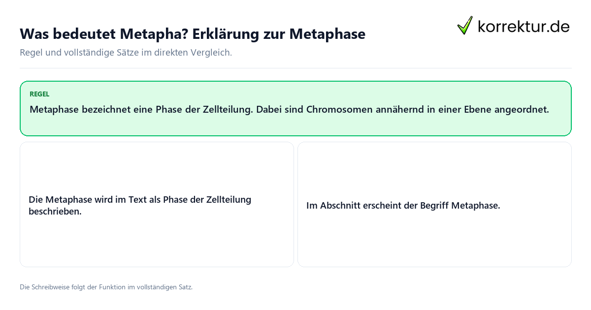 Was bedeutet Metapha? Erklärung zur Metaphase Konkrete Regel und vollständige Beispielsätze zu Was bedeutet Metapha? Erklärung zur Metaphase